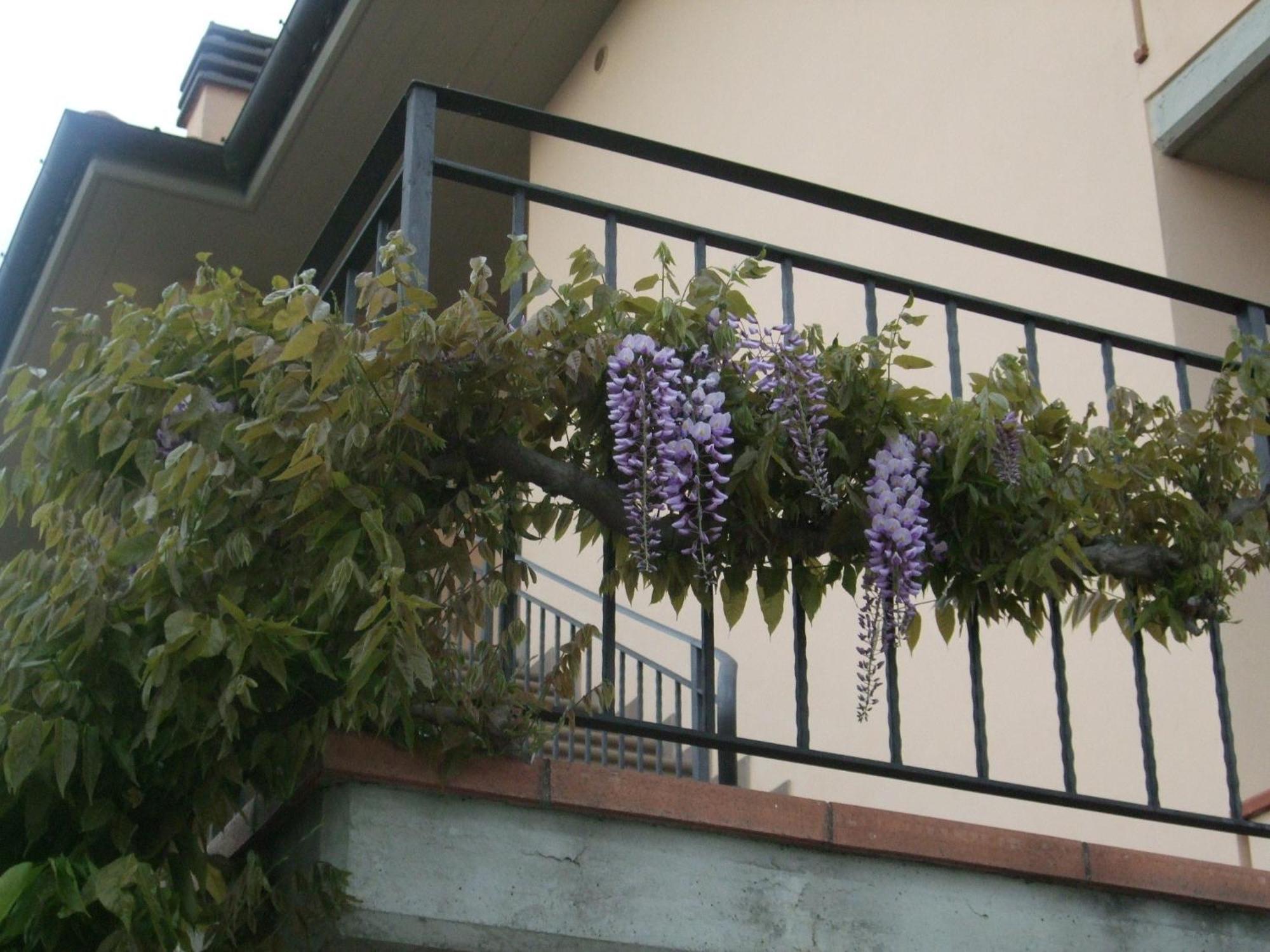 B&B La Casa Di Zefiro Limite Kültér fotó