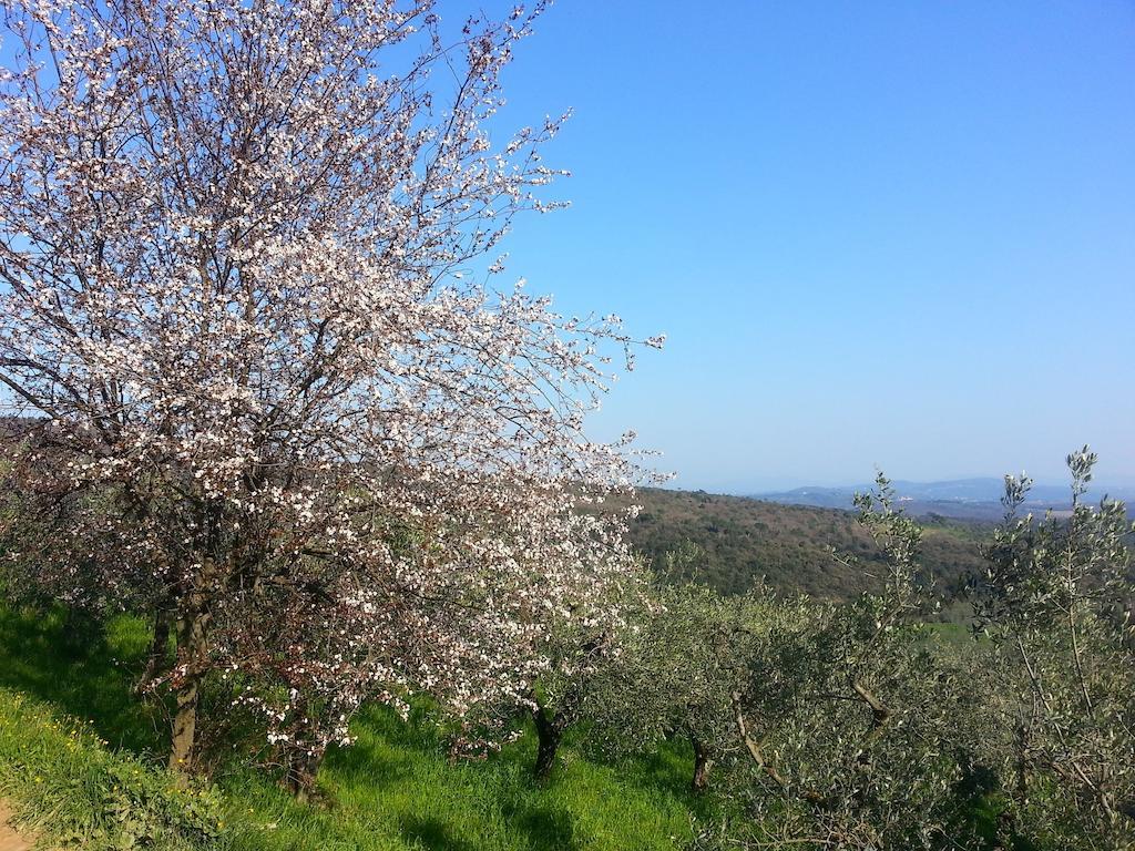 B&B La Casa Di Zefiro Limite Kültér fotó